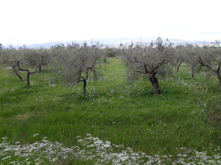 A serene high plateau
