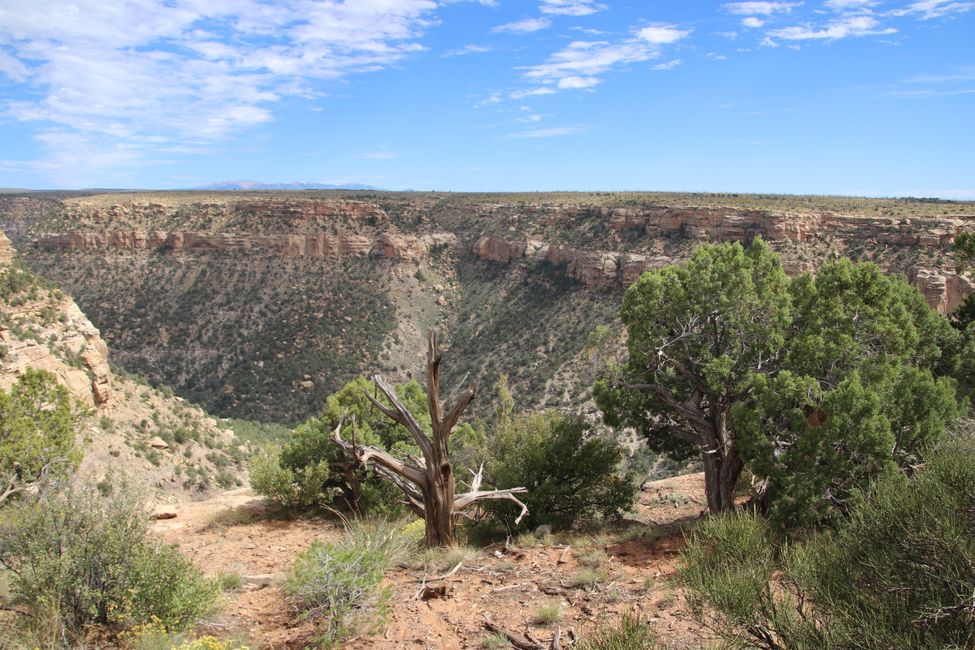 Mesa Verde NP