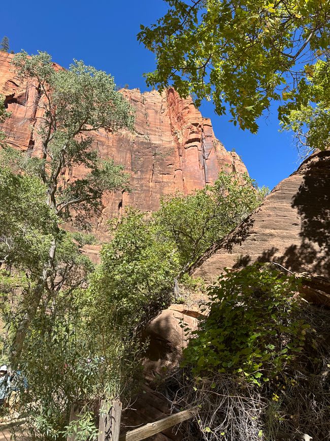 Canyon Land: Zion and Bryce Canyon❤️