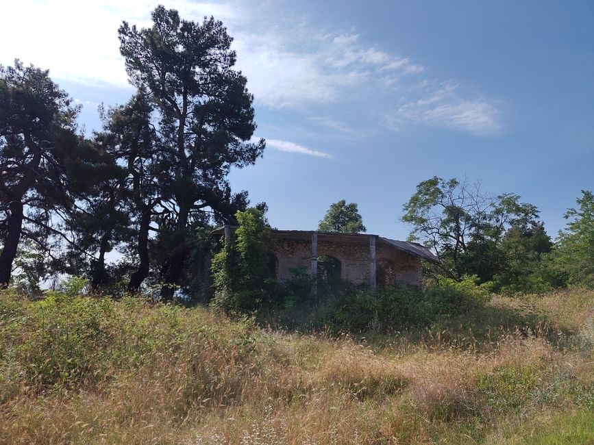 Erano invadenti
