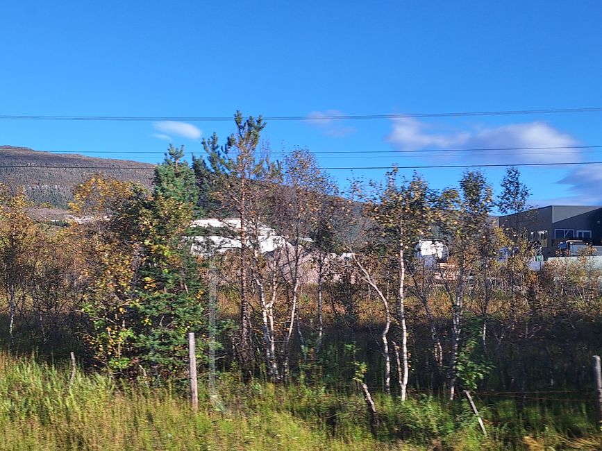 Tag 10 Salstraumen - Bod6