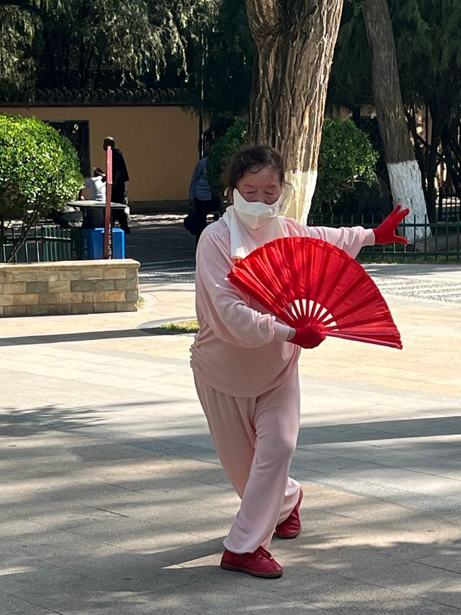 TaiJi con ventagli nel parco