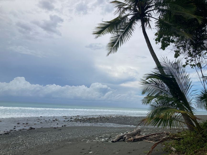 Kayaktour et Parc National Corcovado