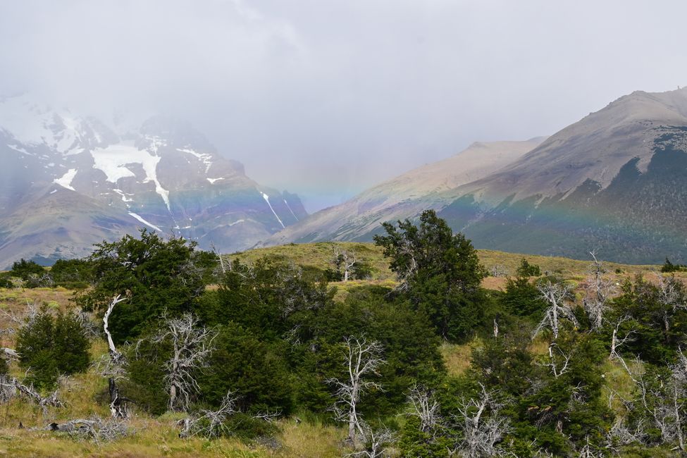 Torres del Paine