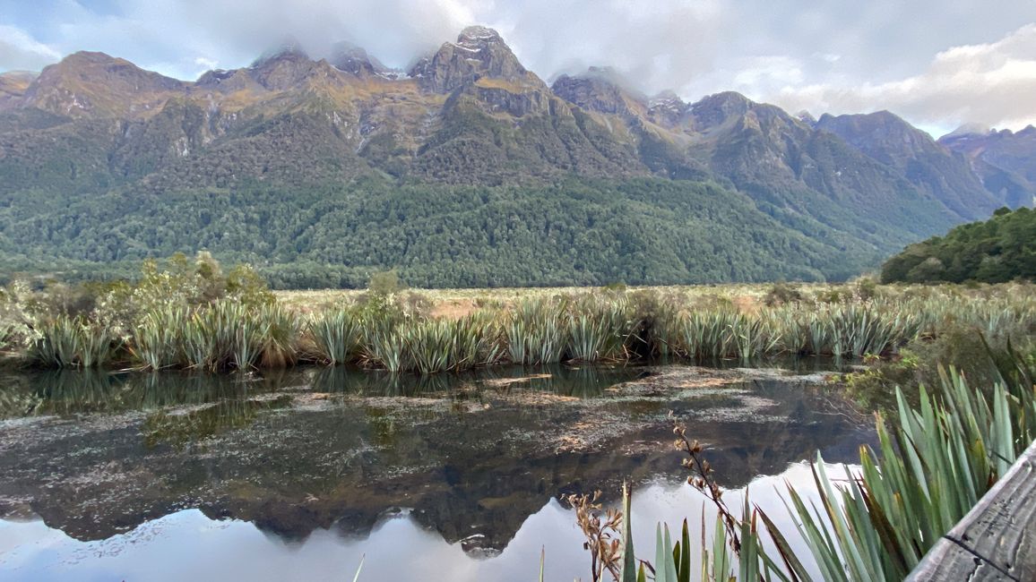 Road trip to Milford Sound