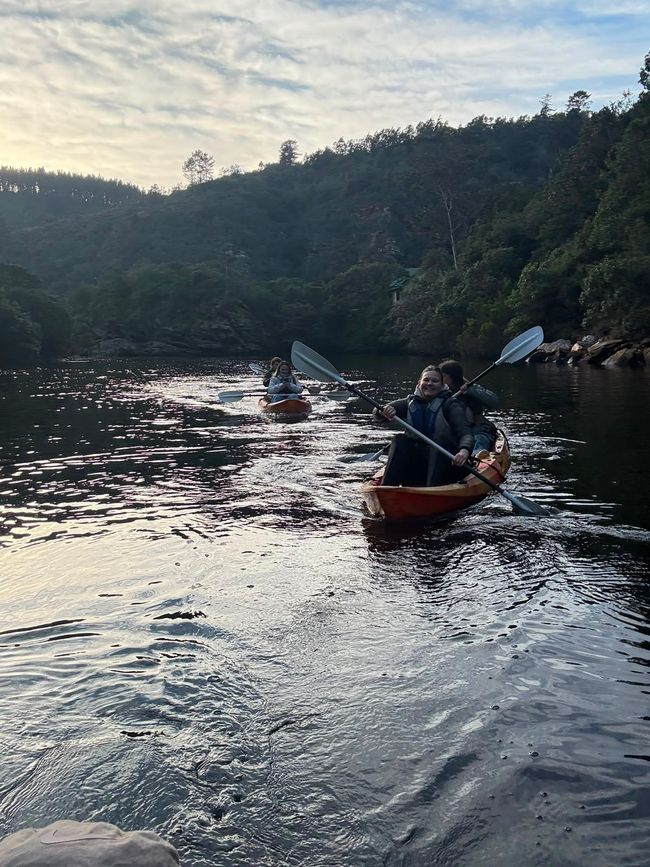 Kayak et Safari - Dimanche 19 (3ème jour)