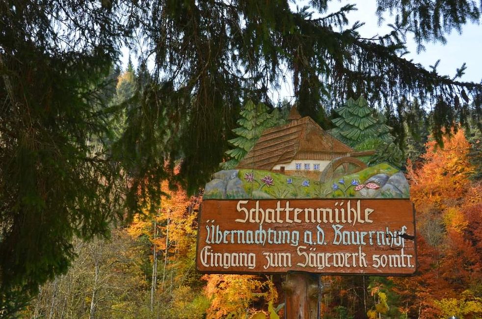 Autumn hiking in the Wutach Gorge: Red, yellow, orange... and you're right in the middle!