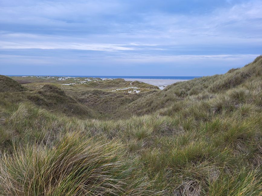 Dunes sur Amrum