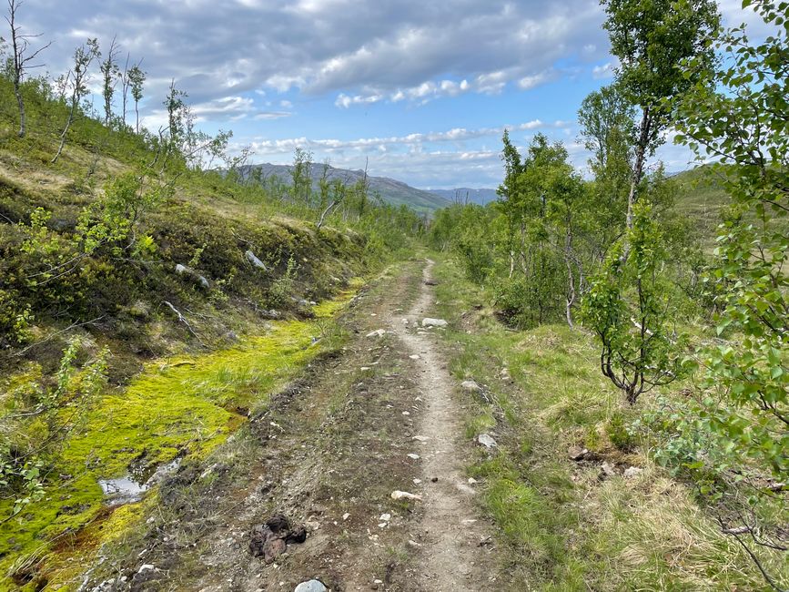 Beautiful red Norwegian houses directly by the fjord