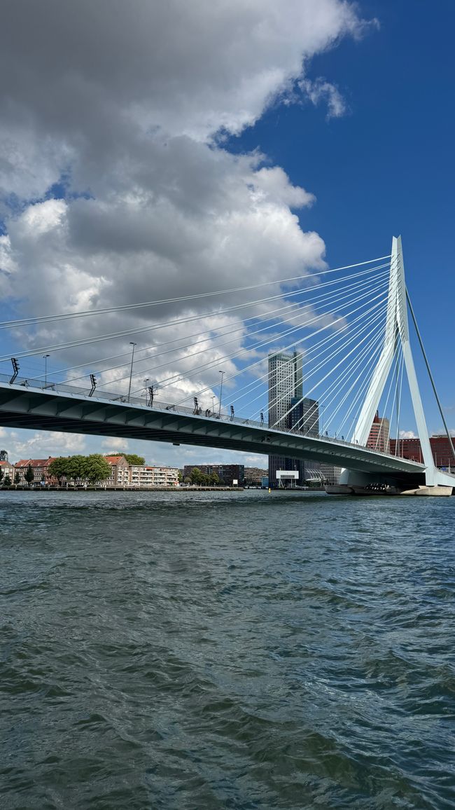 Erasmusbrücke
