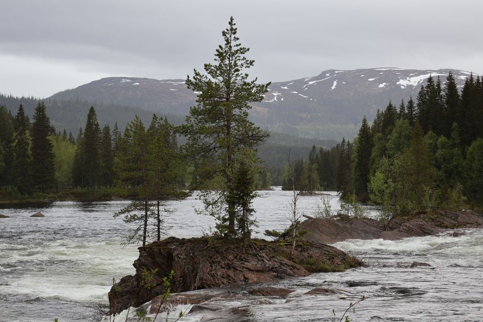 Namsskogen