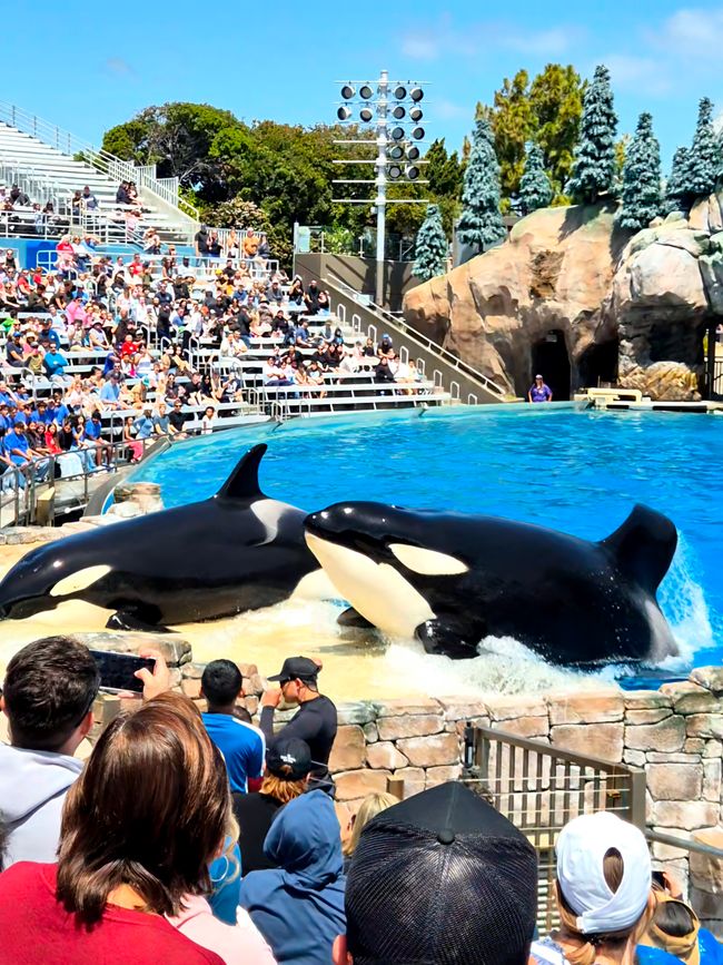 Sea World