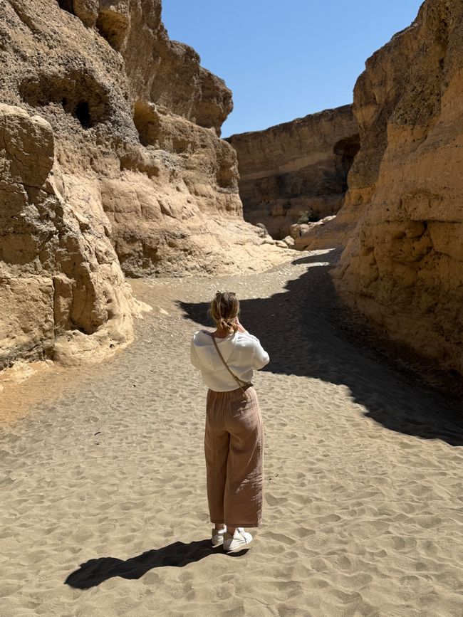 Namibia 2k25 🦓🏜️🐘