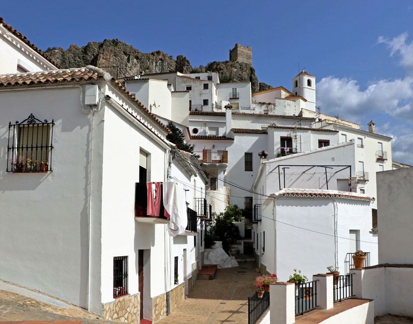 Zahara
