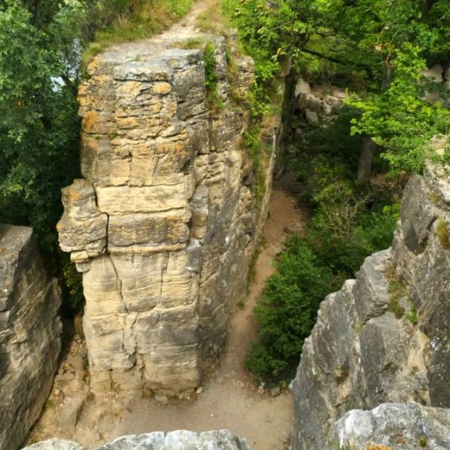 * * * S W A B I A N   
D O L O M I T E S * * *
Climbing, Hiking, Marveling: The Hessigheim Rock Gardens