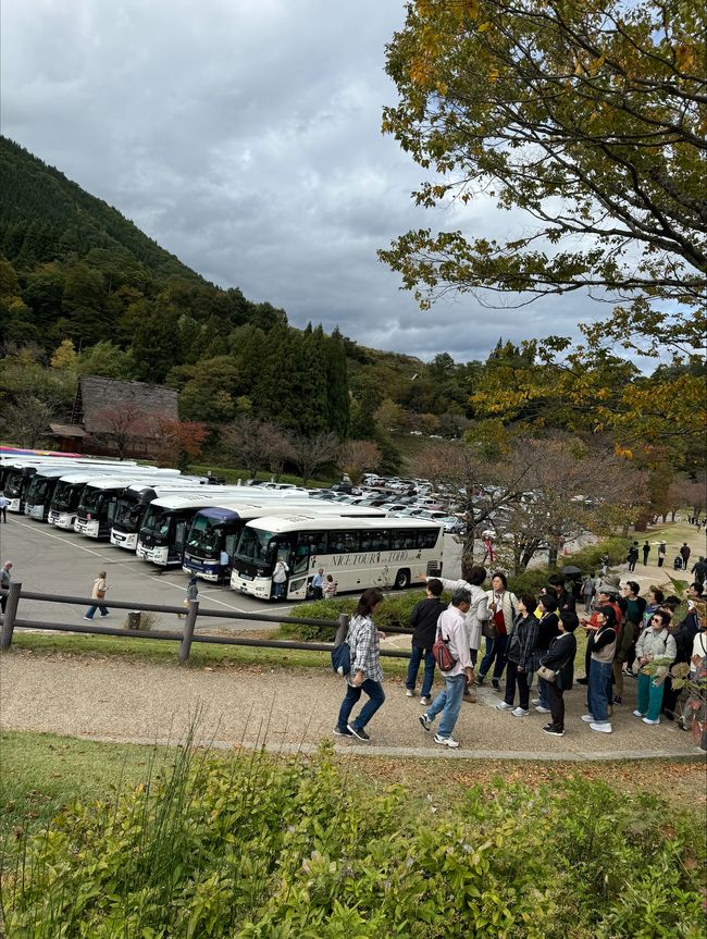 floods of busses....