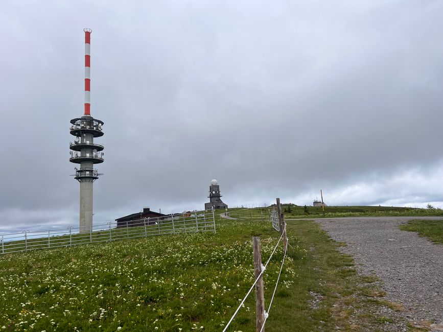 26 Feldbergsteig Escursione Pro Wolermoos