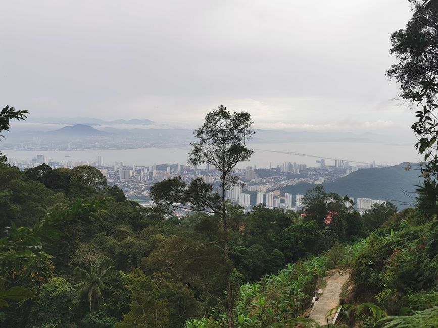 槟城山生物圈保护区的意外徒步旅行