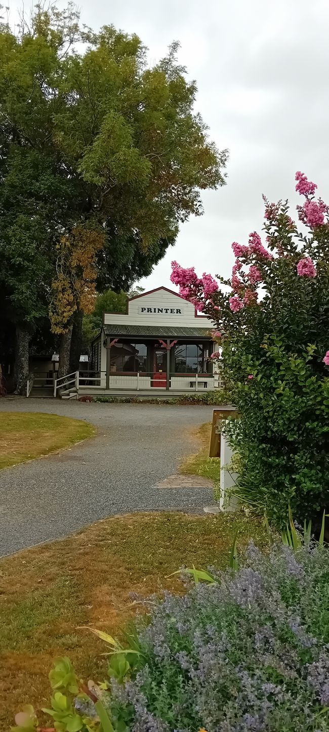 Greytown