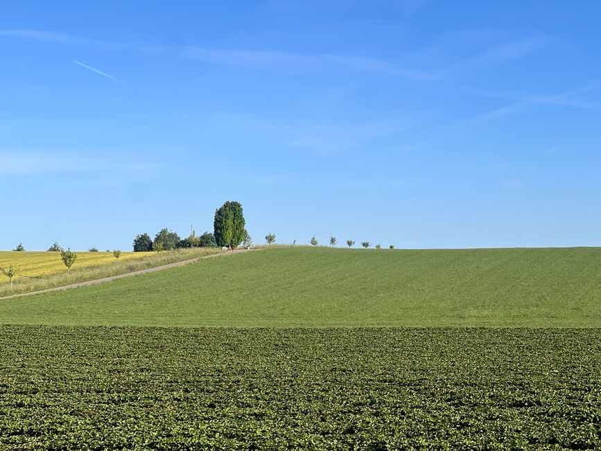 23 nach Inzigkofen
