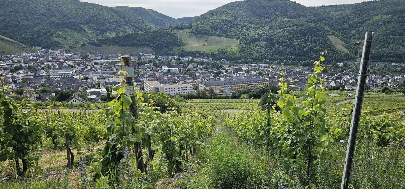 Cochem on the Moselle
