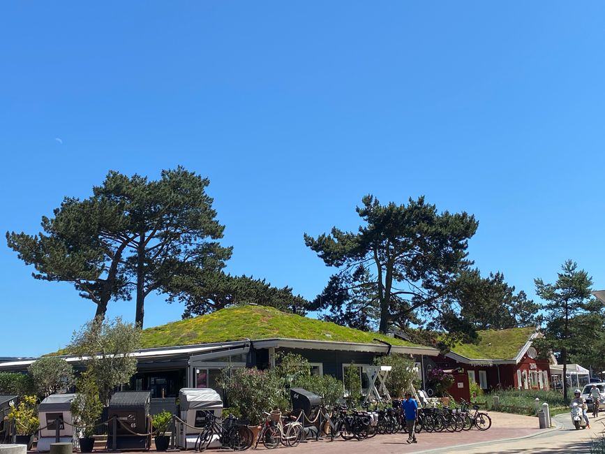 Begrünte Dächer am Strand von Scharbeutz