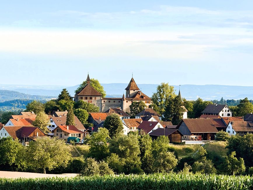 Blick zurück zur Kyburg