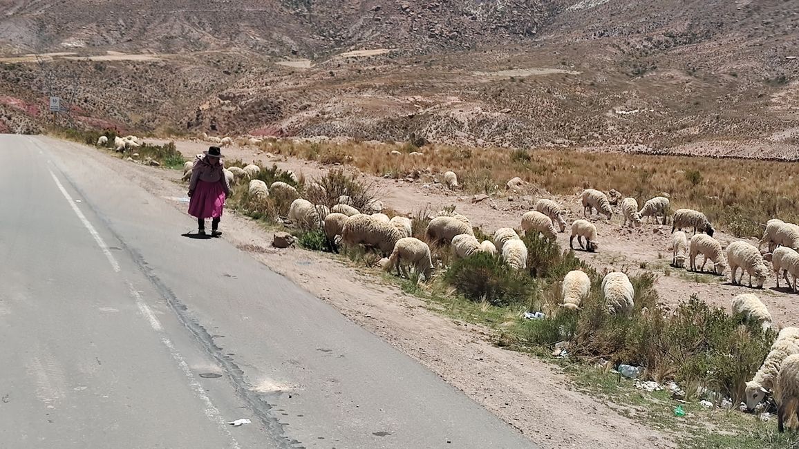 Bolivia, sorgenti termali a Tacoro