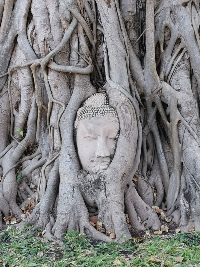 Ayutthaya, Kanchanaburi, Erawan NP