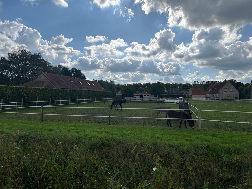Tag 8: Schoten - Hunsel Teil 2