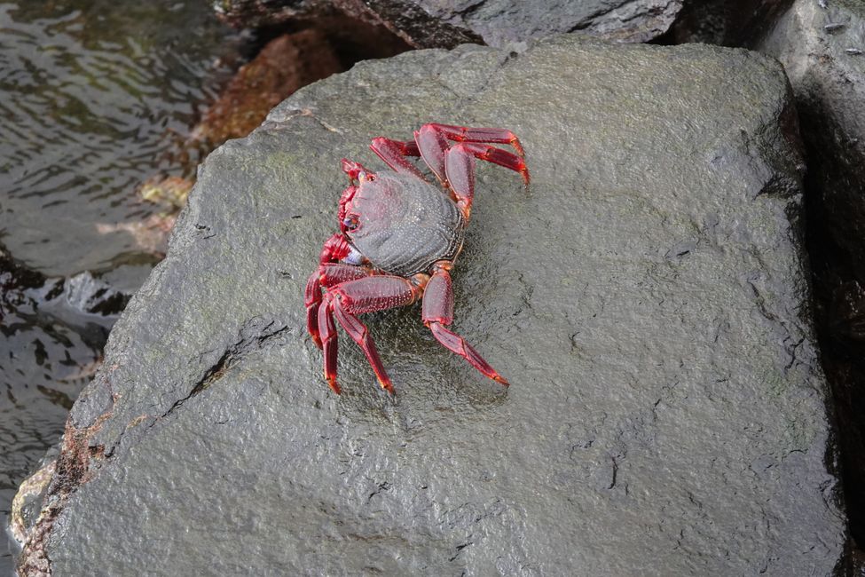 Hoy en catamarán por el Océano Atlántico