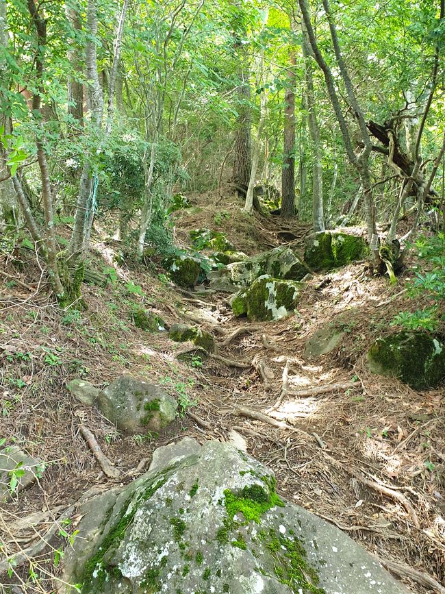 Sehr steinig