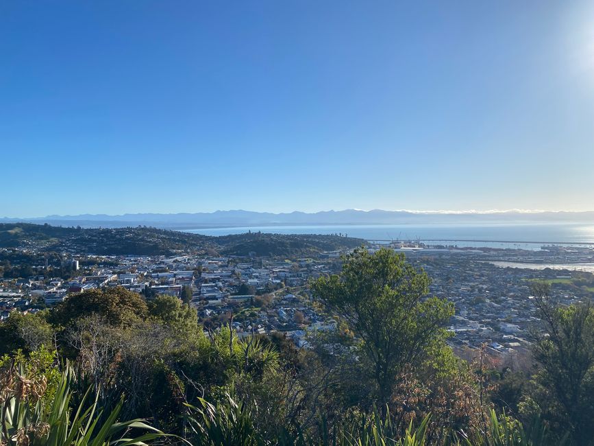 Nelson, Queen Charlotte drive, Picton, Kaikoura, Blenheim
