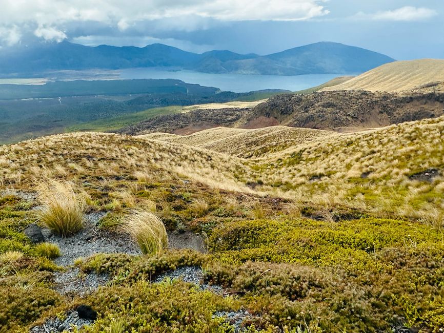 Superlative @ Tongariro