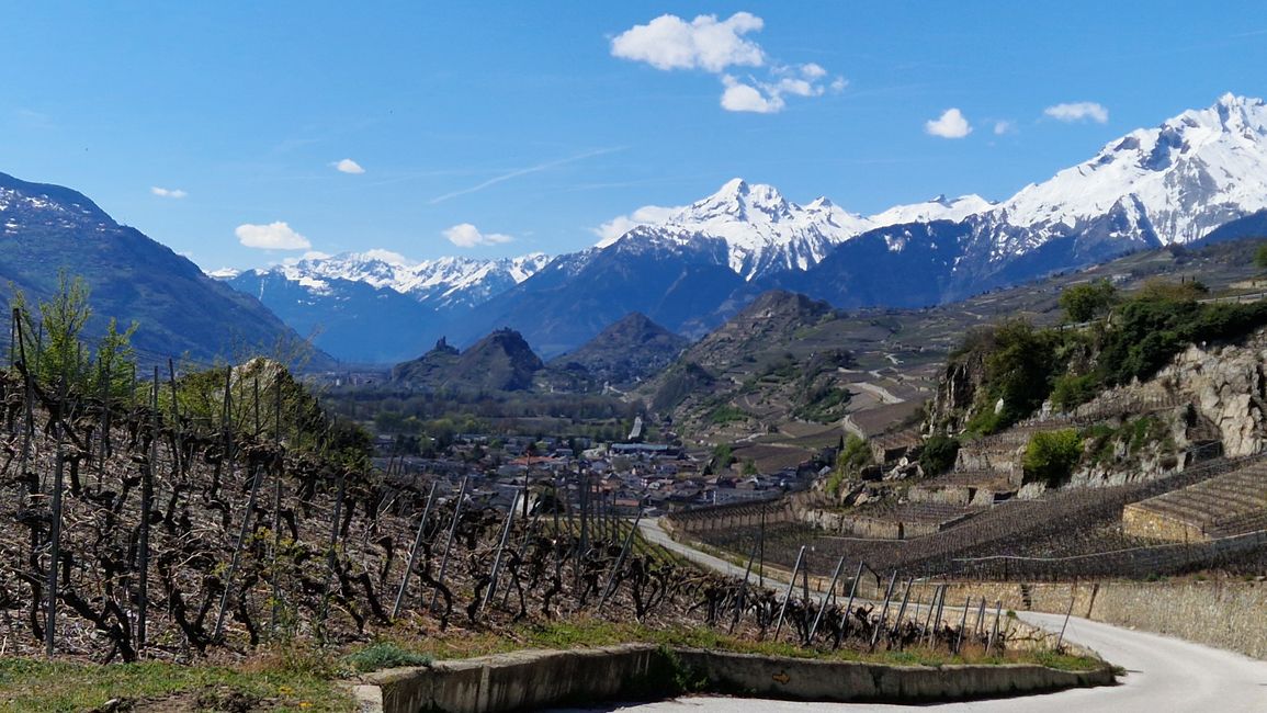 Auf der Weinberg Veloroute