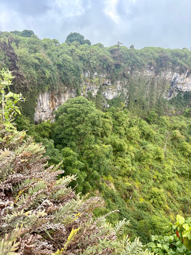 Santa Cruz (Galápagos)