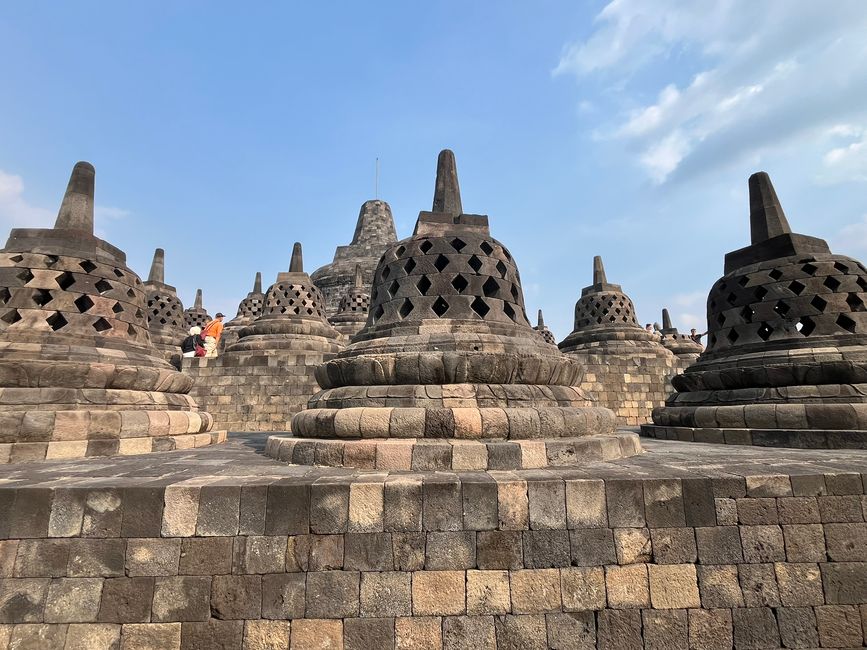 Stone lions guard the temple