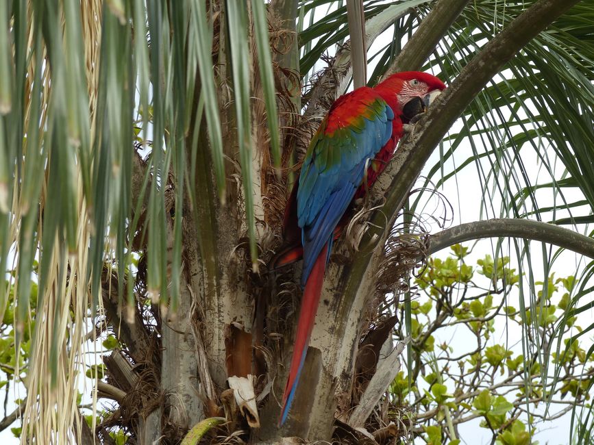 Refugio Canaa Brasil