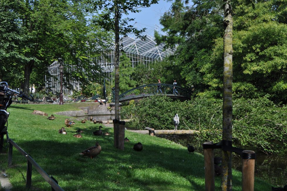 Prideday in Amsterdam im August 2015