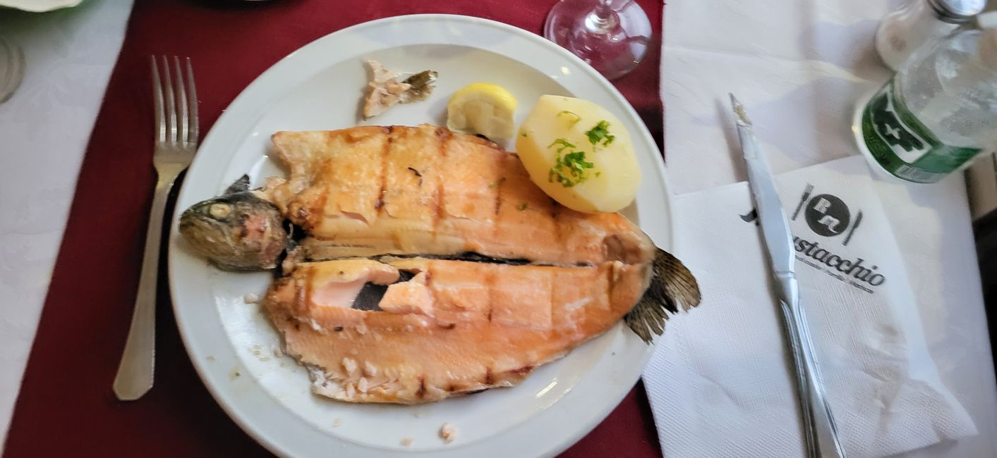 Trota grigliata