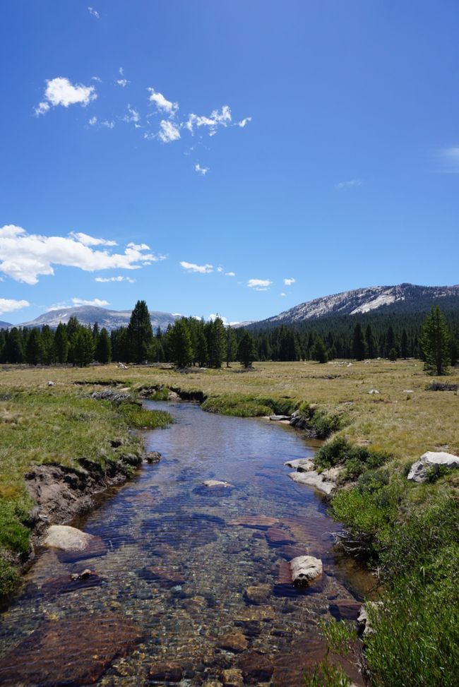 Tag 7 - Erster Tag im Yosemite Nationalpark 🥾🌲