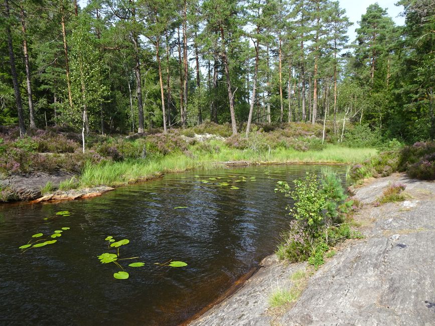 Halden – Tresticklans NP – Halden