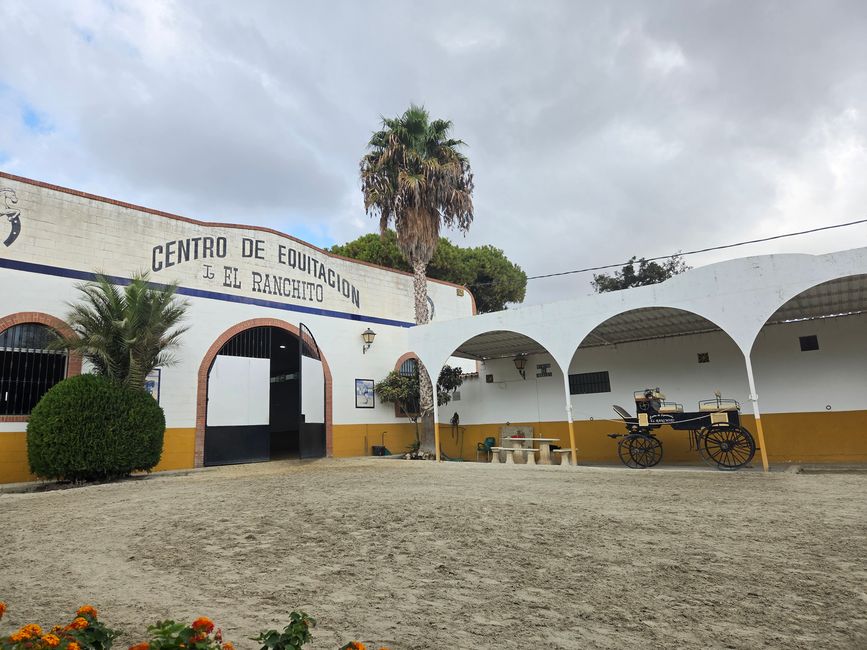 Hufe, Hüften, Flamenco – Mein Pferdeabenteuer in Málaga bei El Ranchito