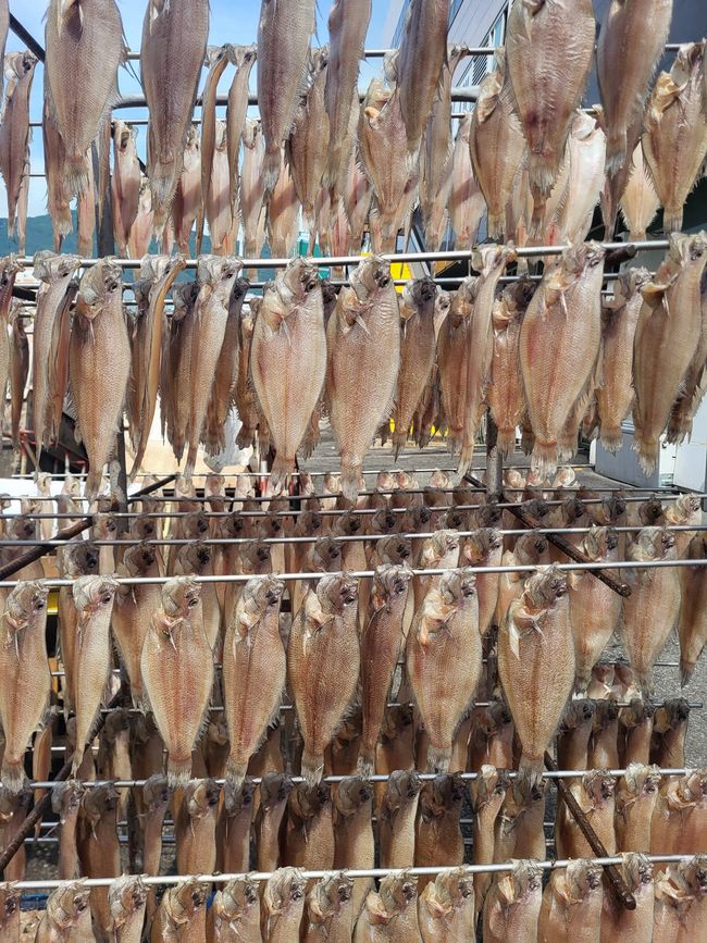 Getrockneter Fisch