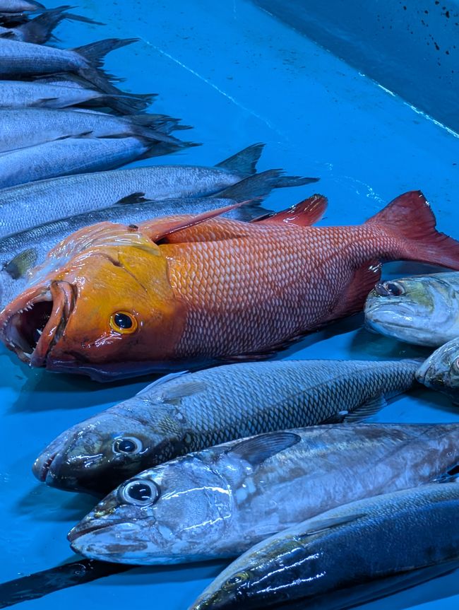 Fischmarkt