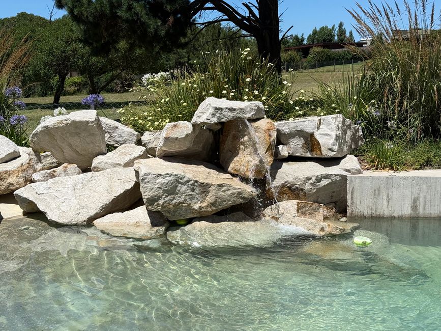 Der Pool. Der letzte Teil.