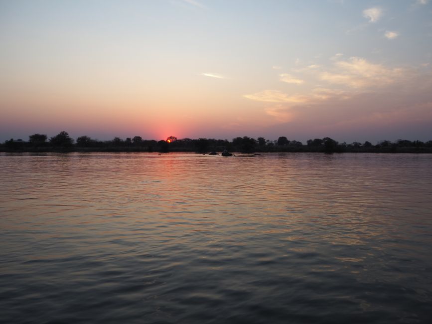 Safari pur-das Abenteuer beginnt