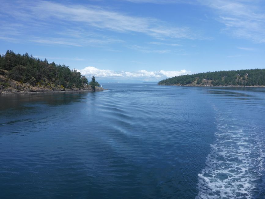 2025-05-21 Vancouver Island Wwoof