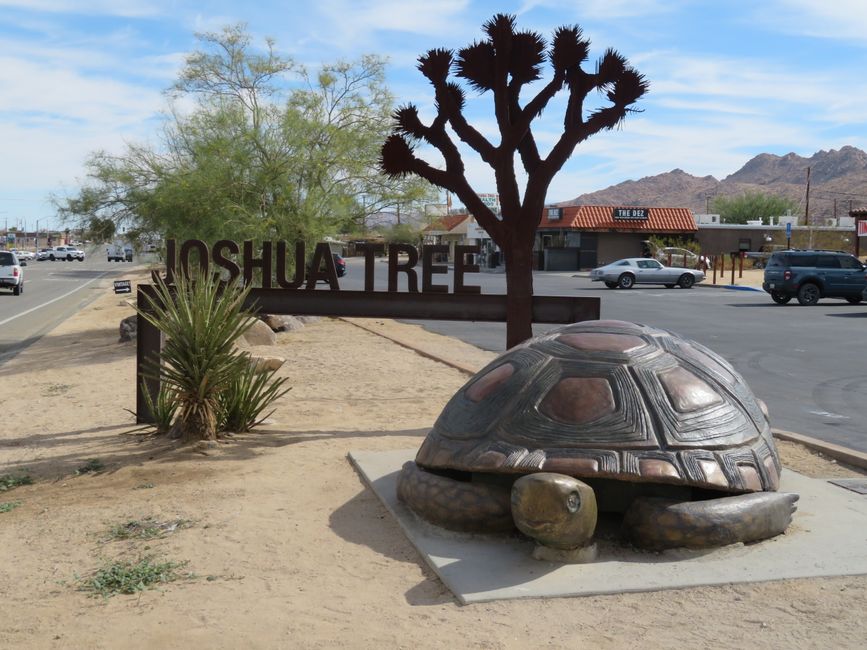 Joshua trees