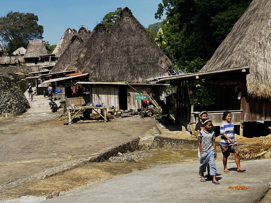 Bena, aldea tradicional cerca de Bajawa
